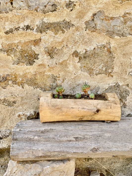 Macetero Rústico Tronco de Madera - “Kalar”