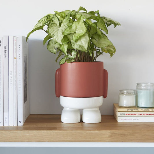 Maceta en forma de Persona - MrSitty