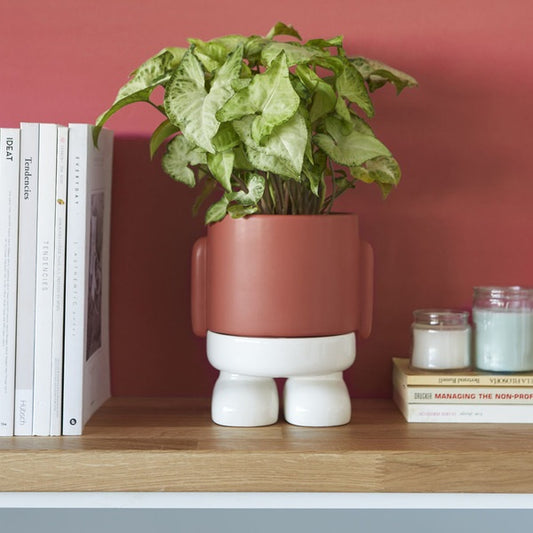 Maceta en forma de Persona - MrSitty