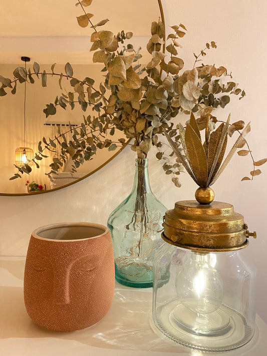 Macetero Cara Terracota - "FACE"